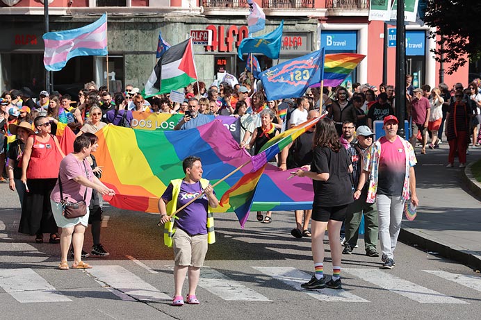 La Ley LGTBI asturiana, un paso más hacia la igualdad real 1 Yosune Álvarez, portavoz y expresidenta de XEGA, encabezando una manifestación por los derechos LGTBIQ+